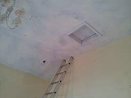 fkillineybeforeinternal 1040.jpg